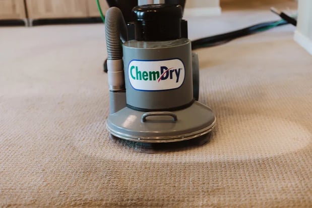 Images Chem-Dry of Seattle
