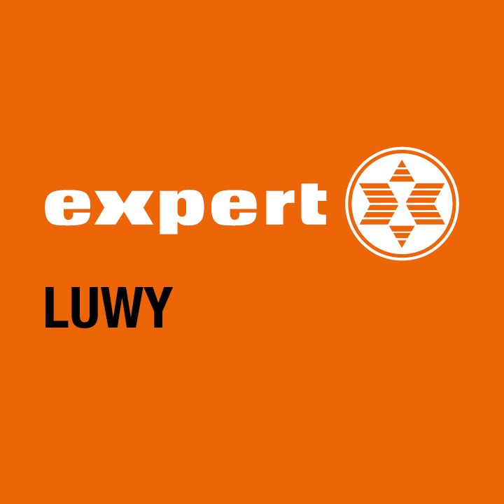 Expert Luwy Logo