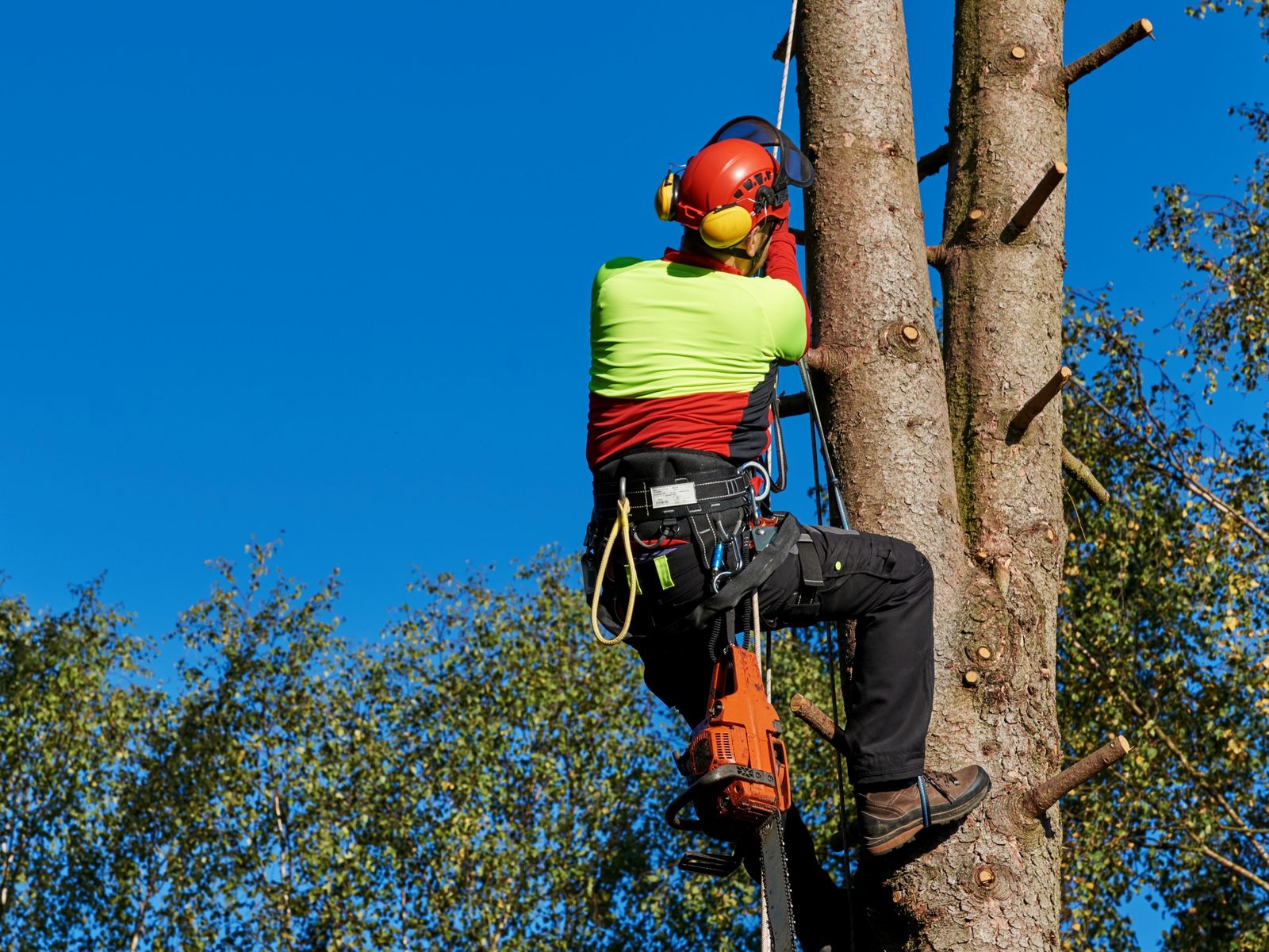 Treeman