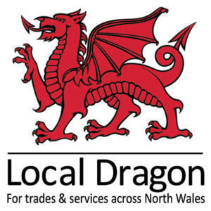 Your Local Dragon Logo