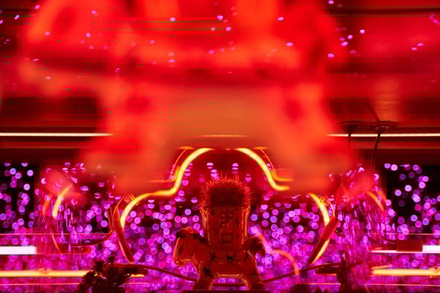 Images Ghost Donkey -  Dallas