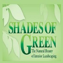 Shades of Green