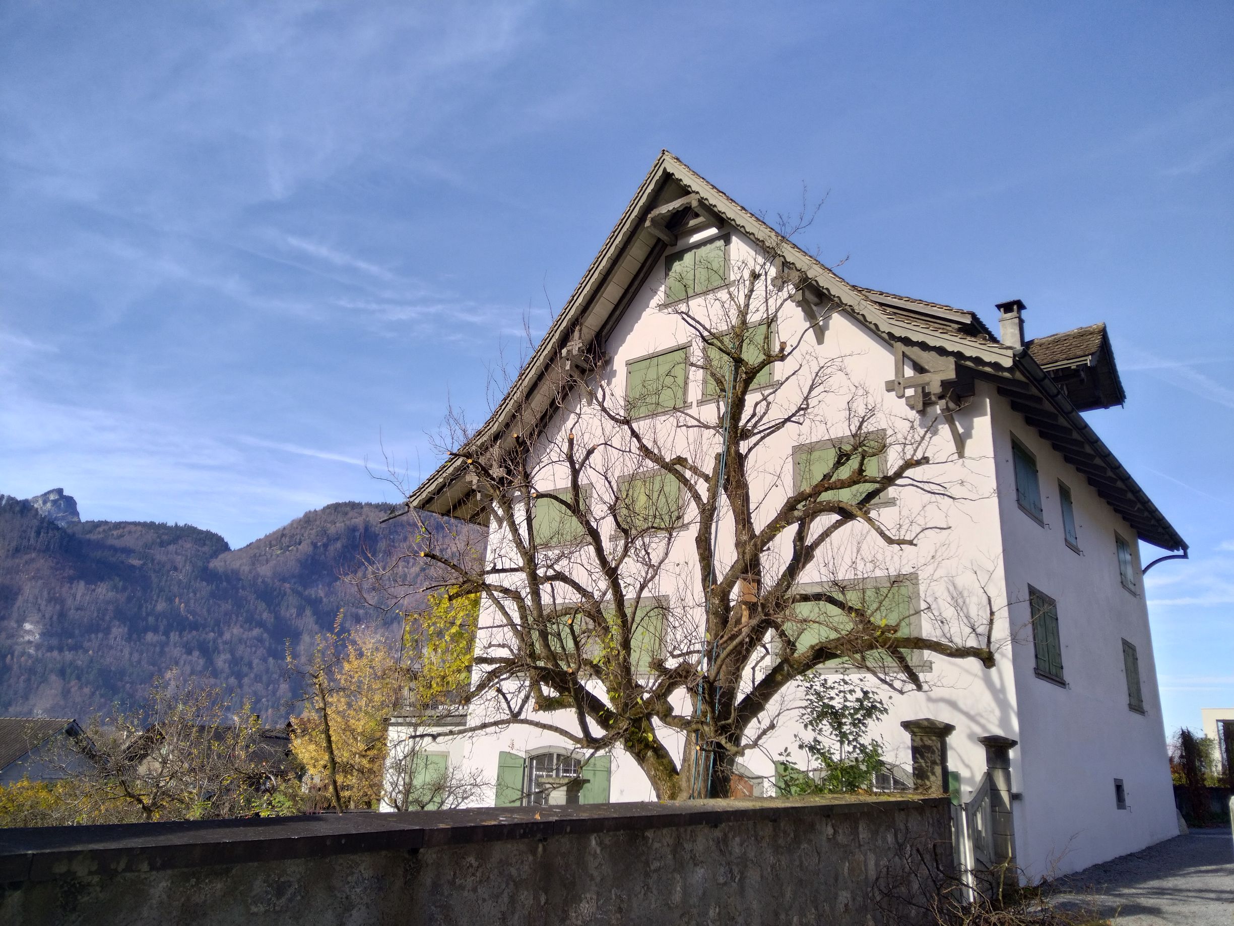 Baumpflege-Gallusser, Bergstrasse 3 in Hinteregg