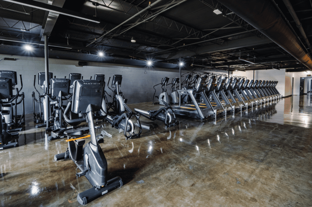 Images Gold's Gym Tampa (Gas Worx)