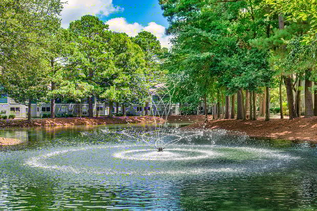 Images MAA James Island
