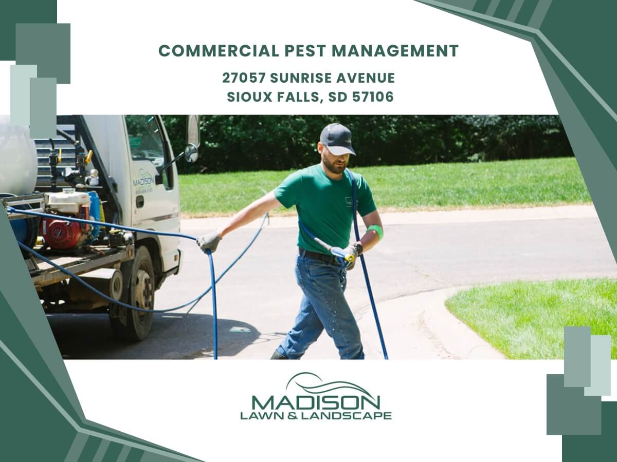 commercial pest management