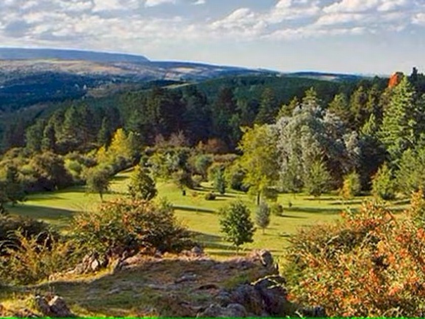 Images Inmobiliaria Virtual