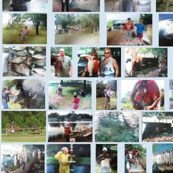 Images Fishpondaerators