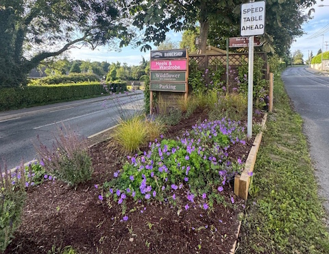 Eden landscaping 13