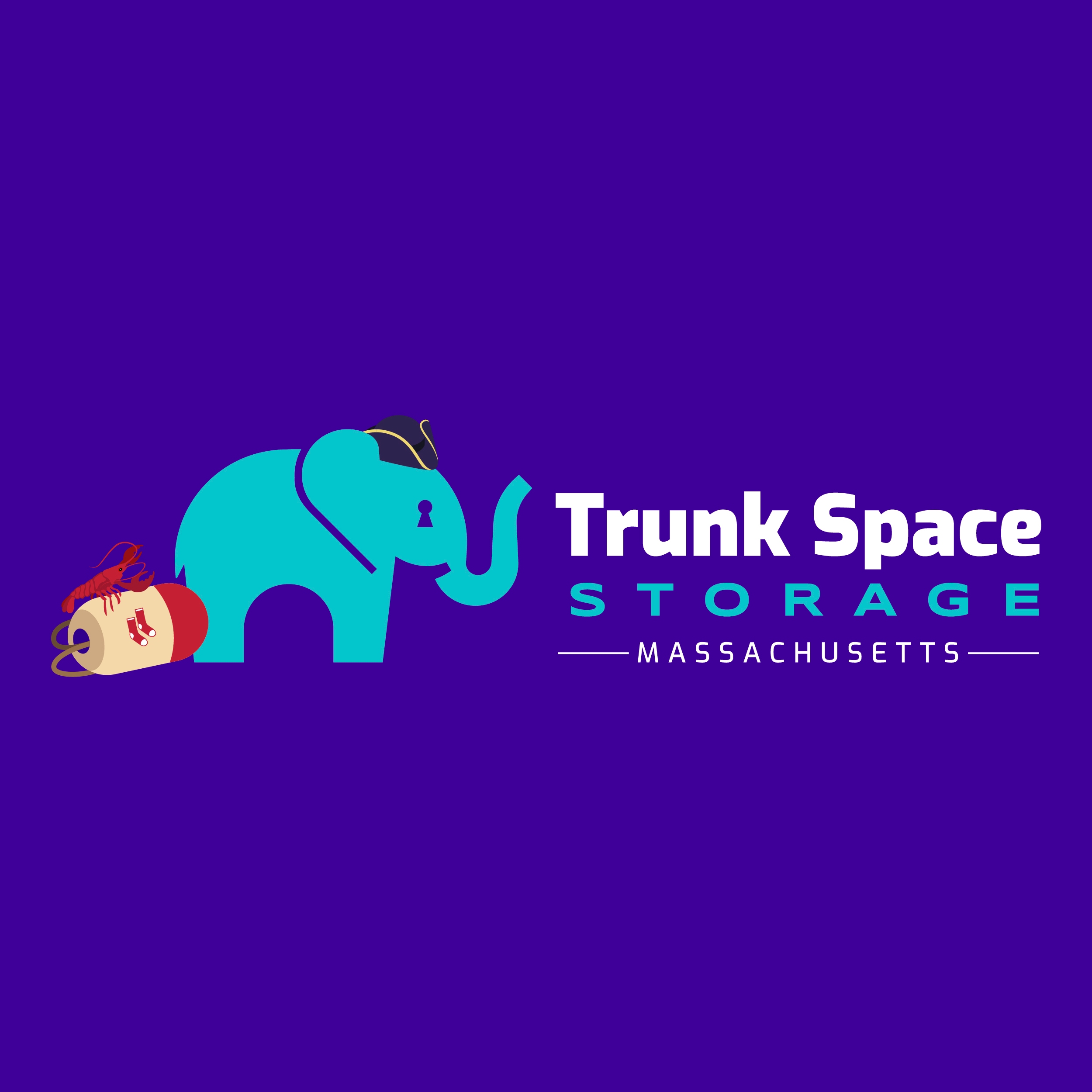 Trunk Space Storage