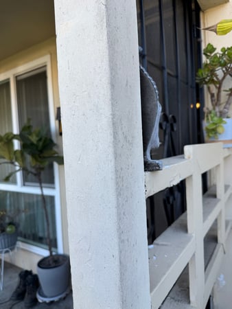 Images 24H Mold Inspection of Newport Beach