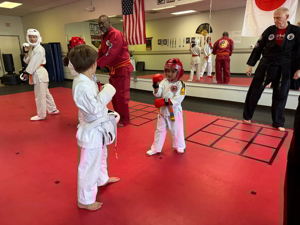 Images Jaguar Dojo