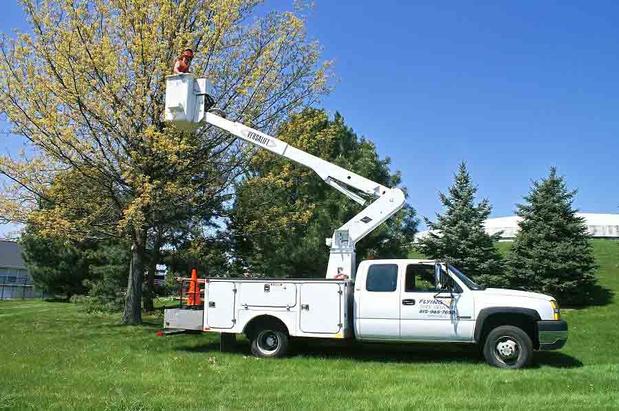Images Flying W Tree Service