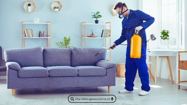 Images Pest Control Miami