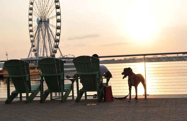 Images Blvd Flats at National Harbor by Pulte Homes