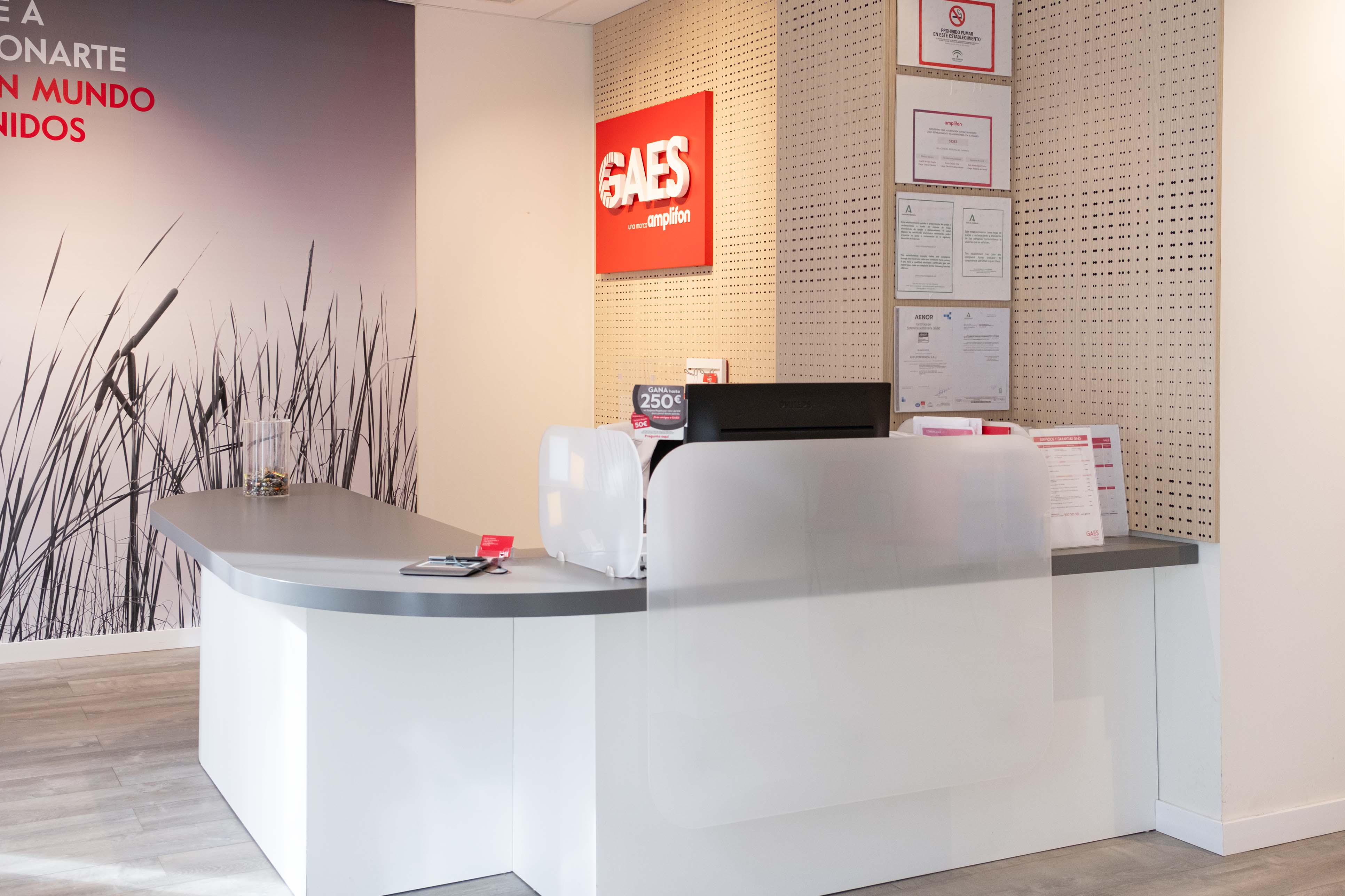 Galería en miniatura