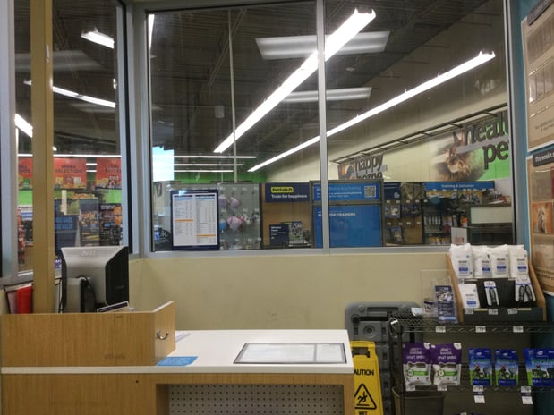 Images Petco Grooming
