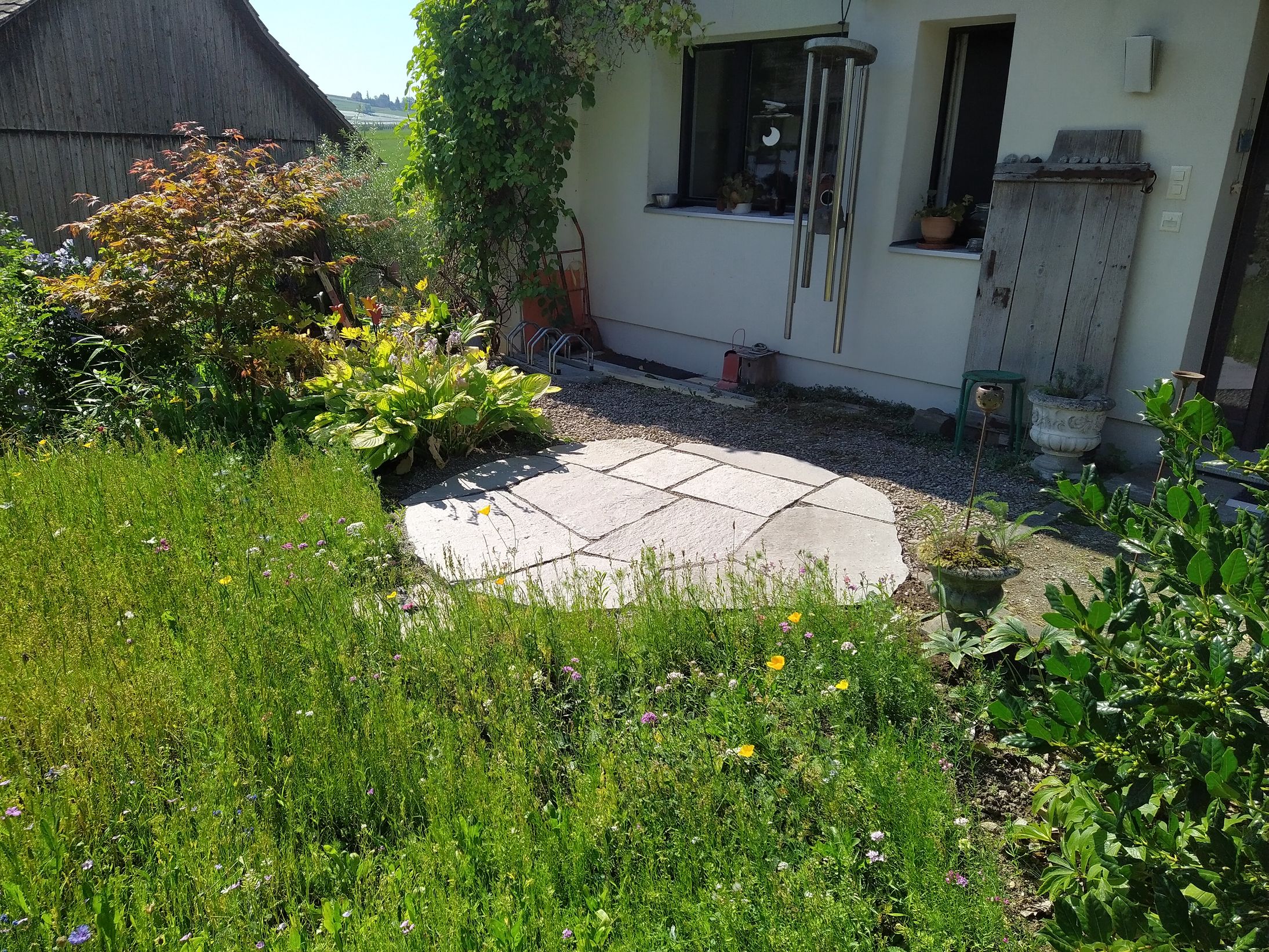 Bilder Chraftgrüen GmbH