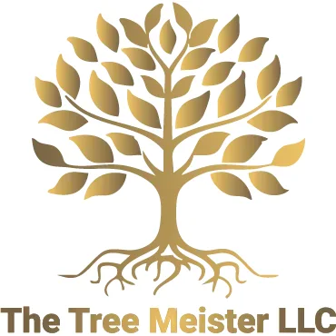 The Tree Meister