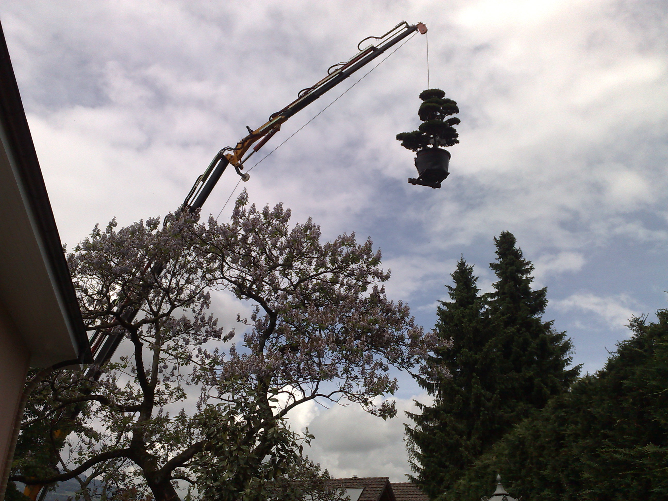 Bild 2 von Krstic Boban Ing - Gartenpflege