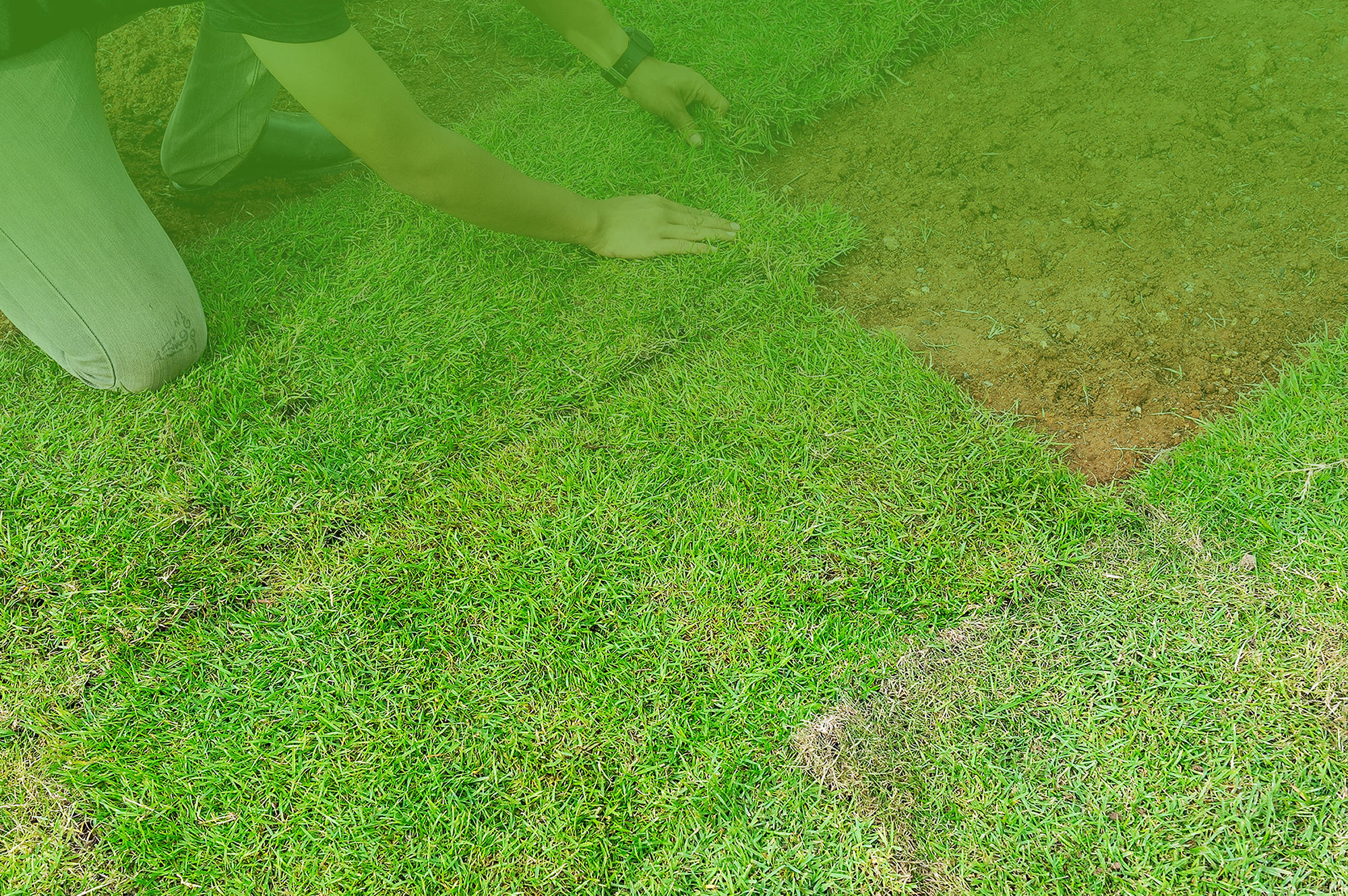 Servicio de Jardineria Ramos Logo