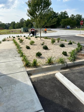 Images Juan Mata Lawn Care Services