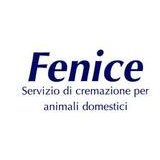FENICE SERVIZIO DI CREMAZIONE PER ANIMALI DOMESTICI SAGL Logo