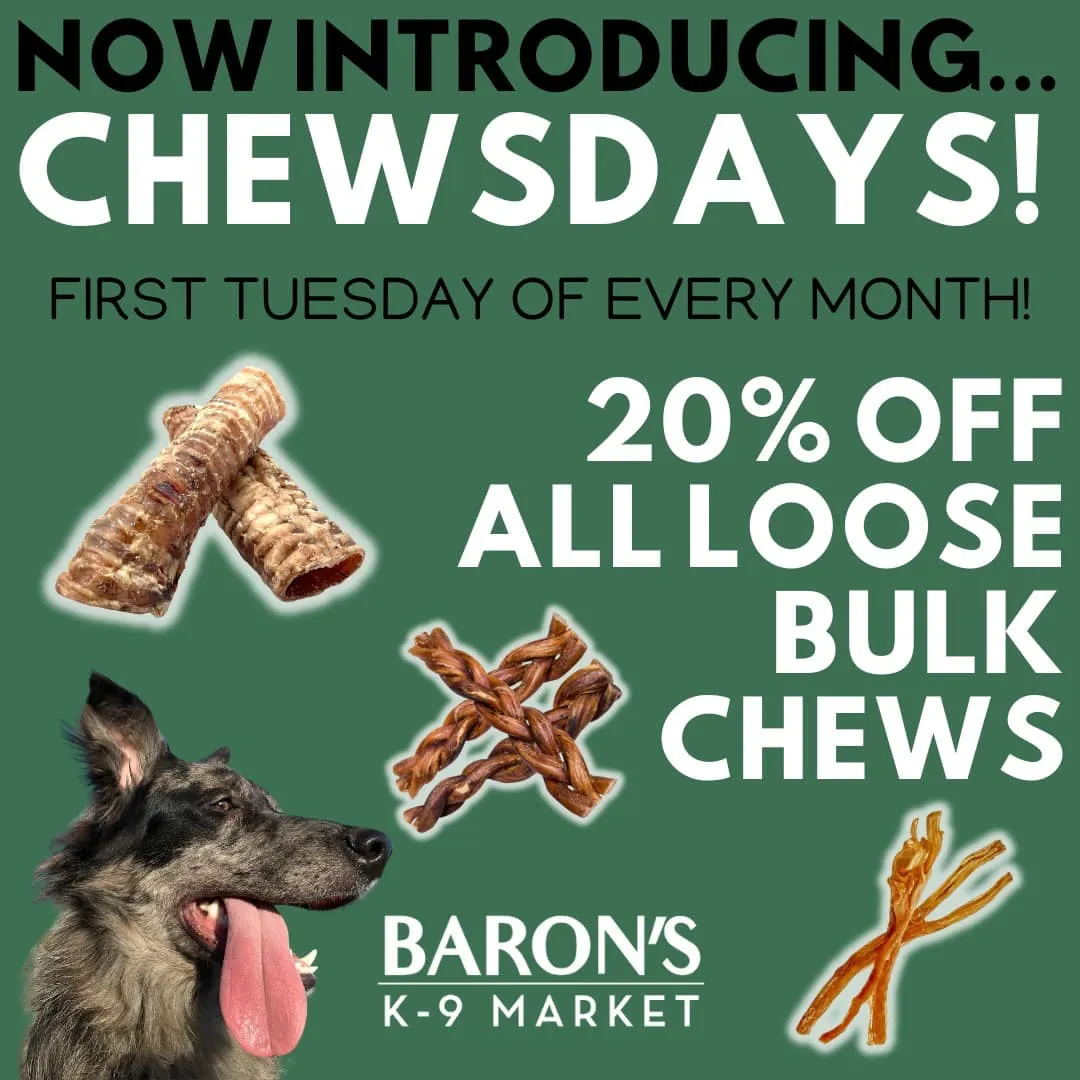 Image of Local Pet Event Chewsday! Nearby