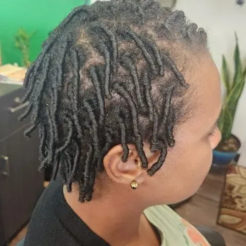 Short mature loc hairstyle featuring uniform length, healthy texture, and neatly maintained roots, d 