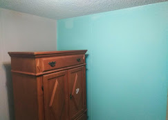 Aragon's Pro Painting Image