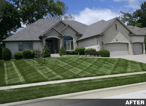 Images Buzz Cut Lawn Care