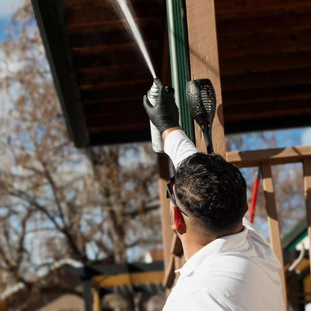 Images Southwest Weed & Pest Solutions LLC