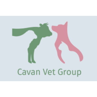 Cavan Vet Group - Small Animal Clinic