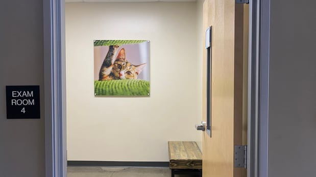 Images Vetco Total Care Animal Hospital