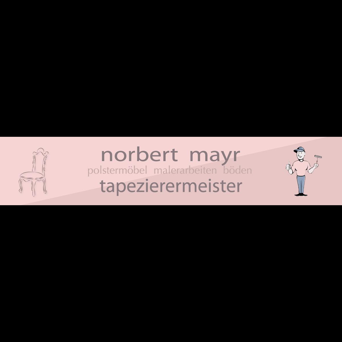 Norbert Mayr Logo