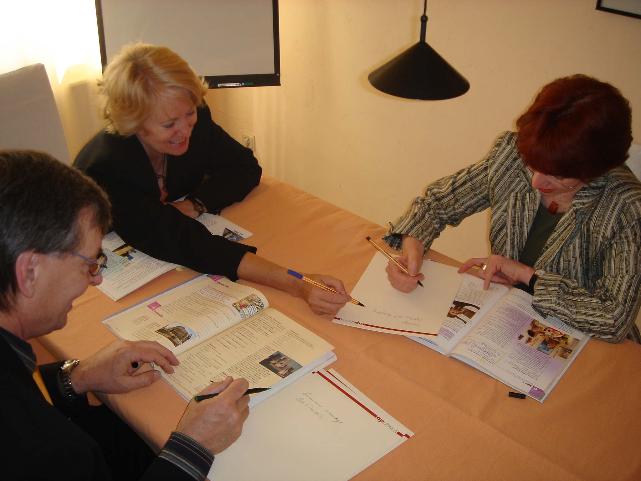 apLINGUA, Bürgermeister-Peters-Straße 20 in Northeim