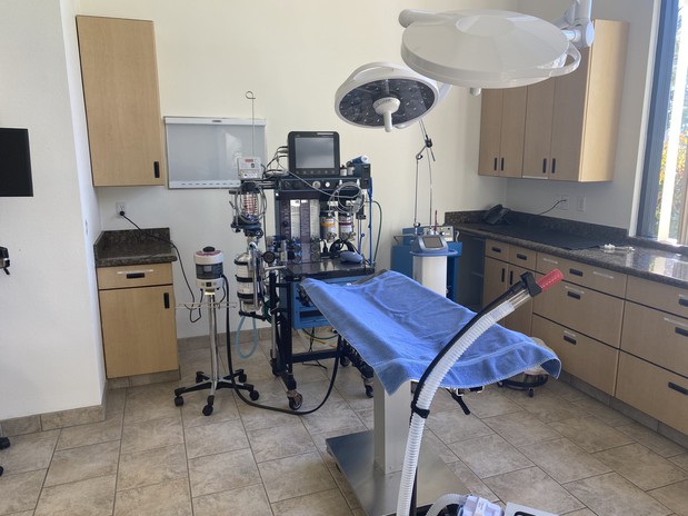Images VCA Santa Margarita Animal Hospital