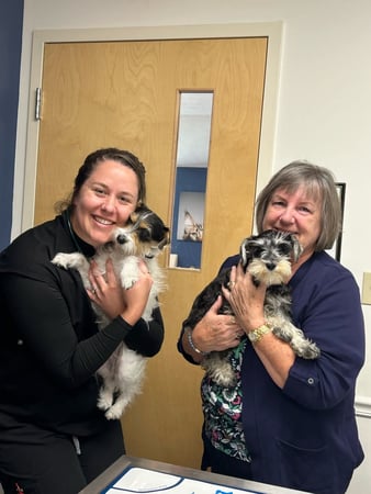 Images VCA AVH Animal Hospital