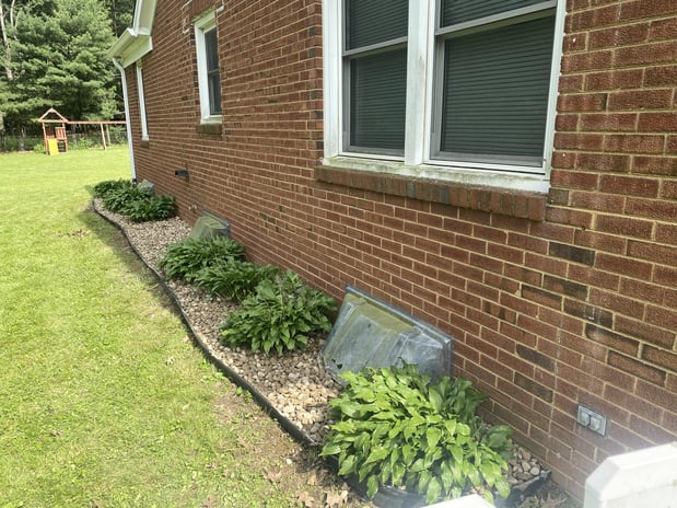 Images Rooted Lawn & Landscape