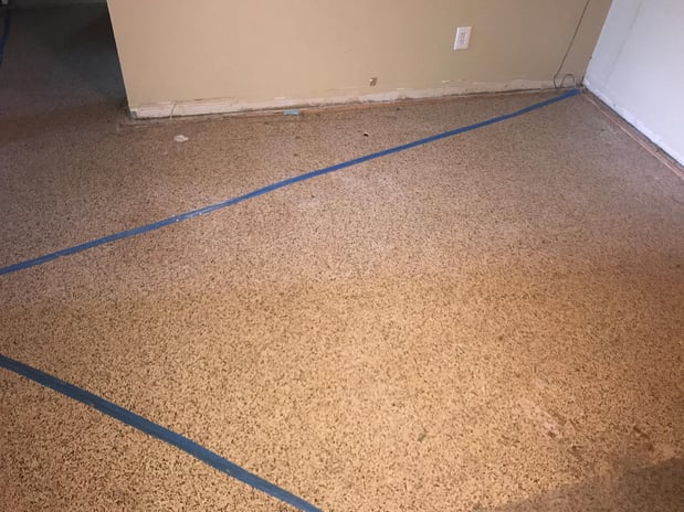 Images Rex Environmental