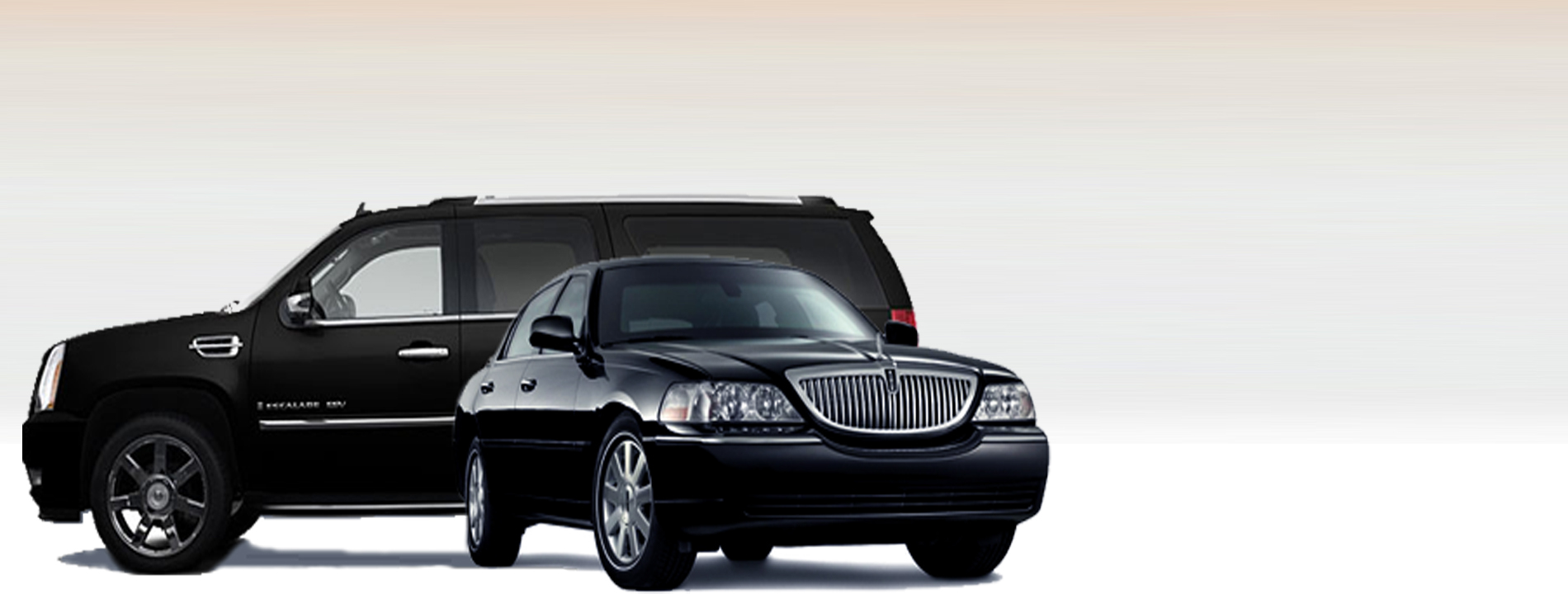 Hampton Limousine Llc