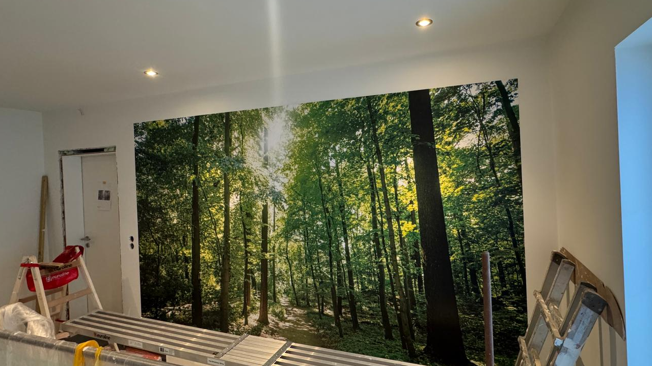 Malermeister Bogucanin GmbH, Backhausberg 3 in Hadamar