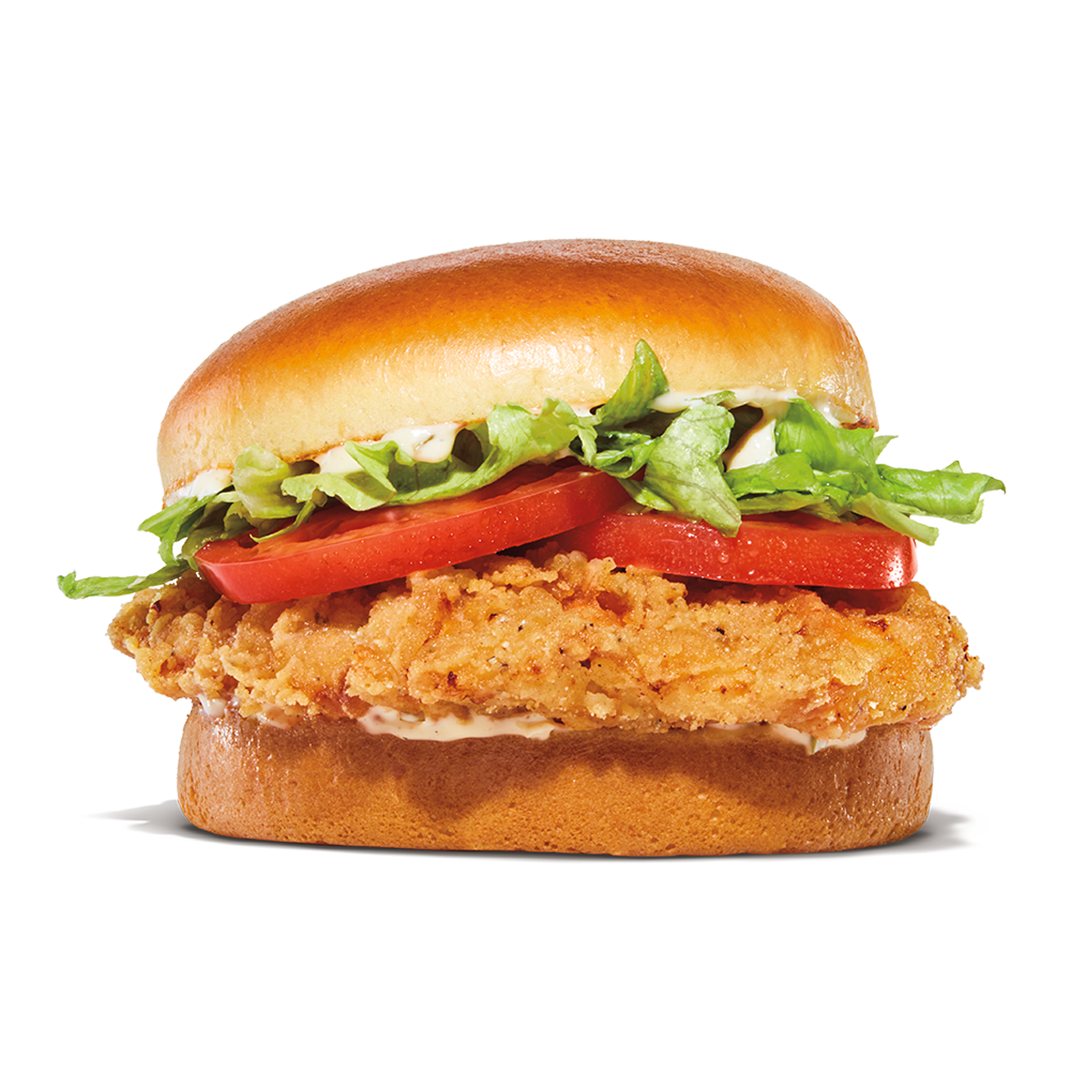 Burger King Spring (281)419-4285