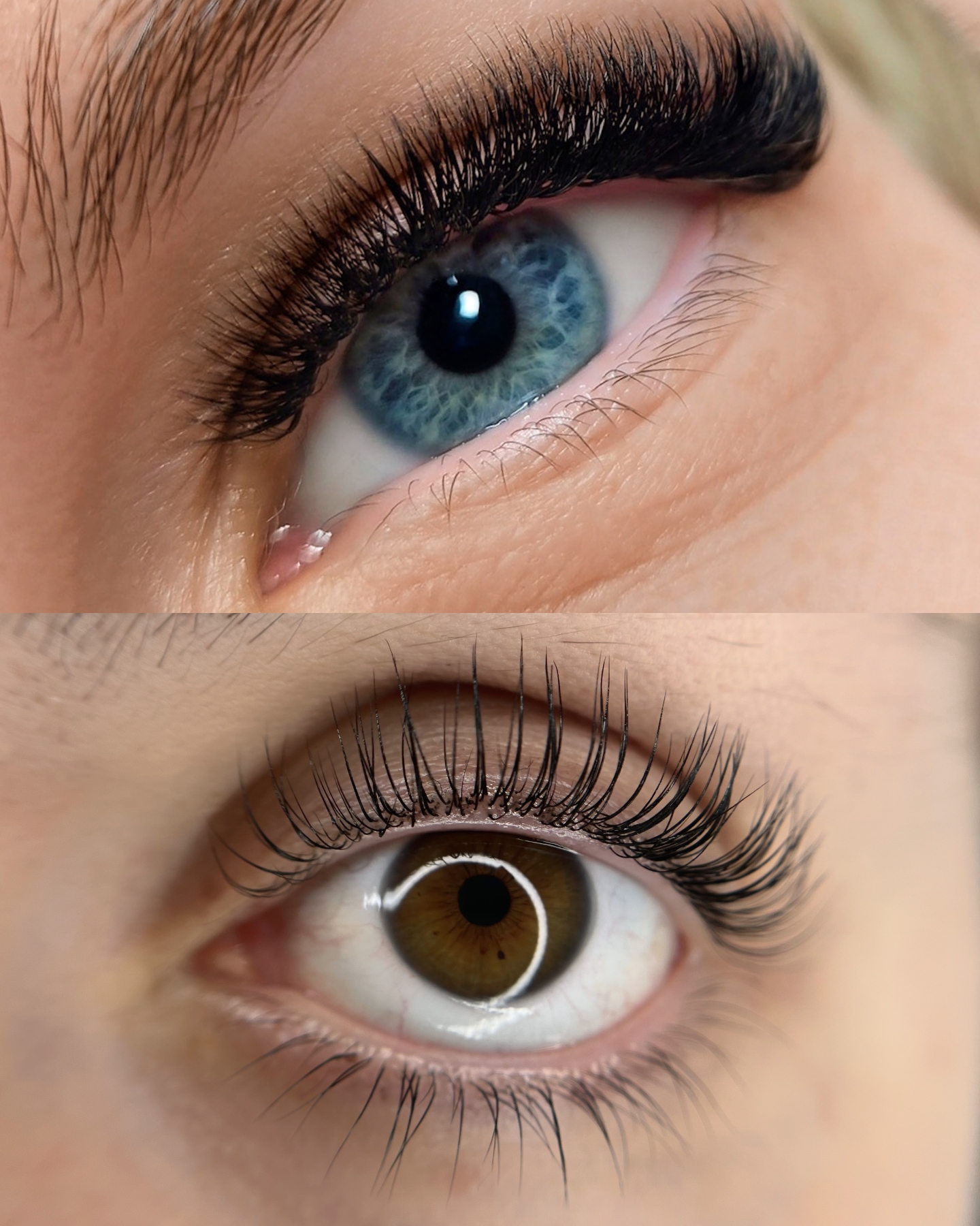 Images Lashista - Formation cils - Pose de cils - Produits de cils Longueuil