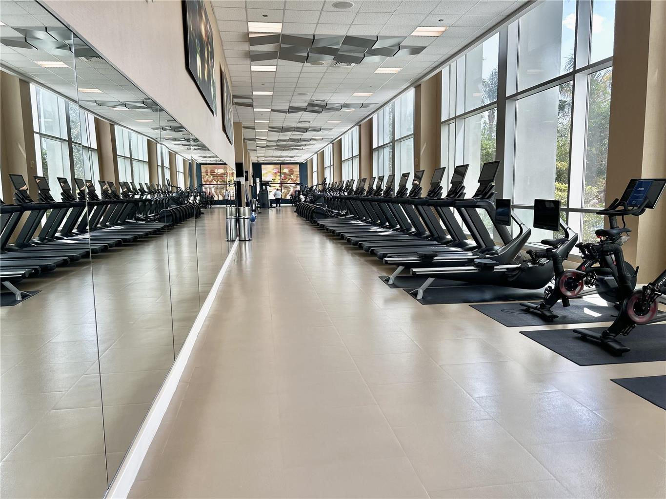 Health club  fitness center  gym 