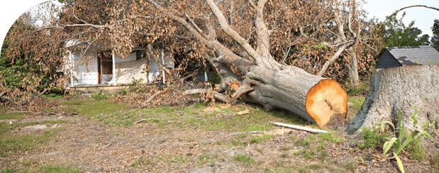 Images Huffstetler Tree & Lawn Services Inc.