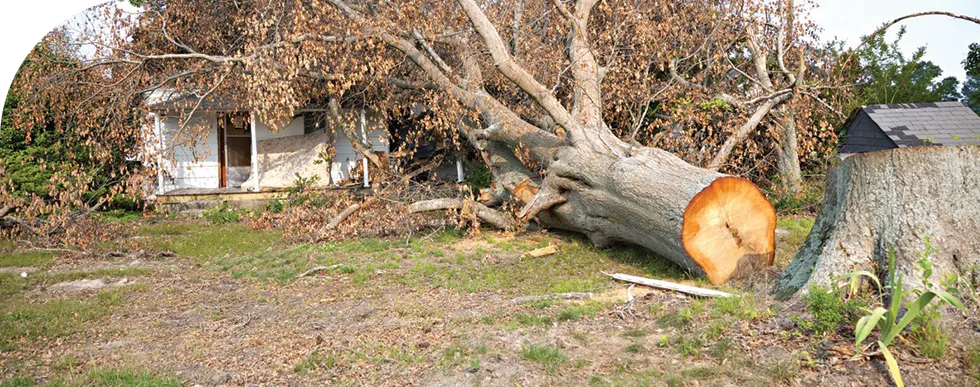 Huffstetler Tree & Lawn Services Inc. Image