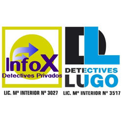 Detectives Infox Logo