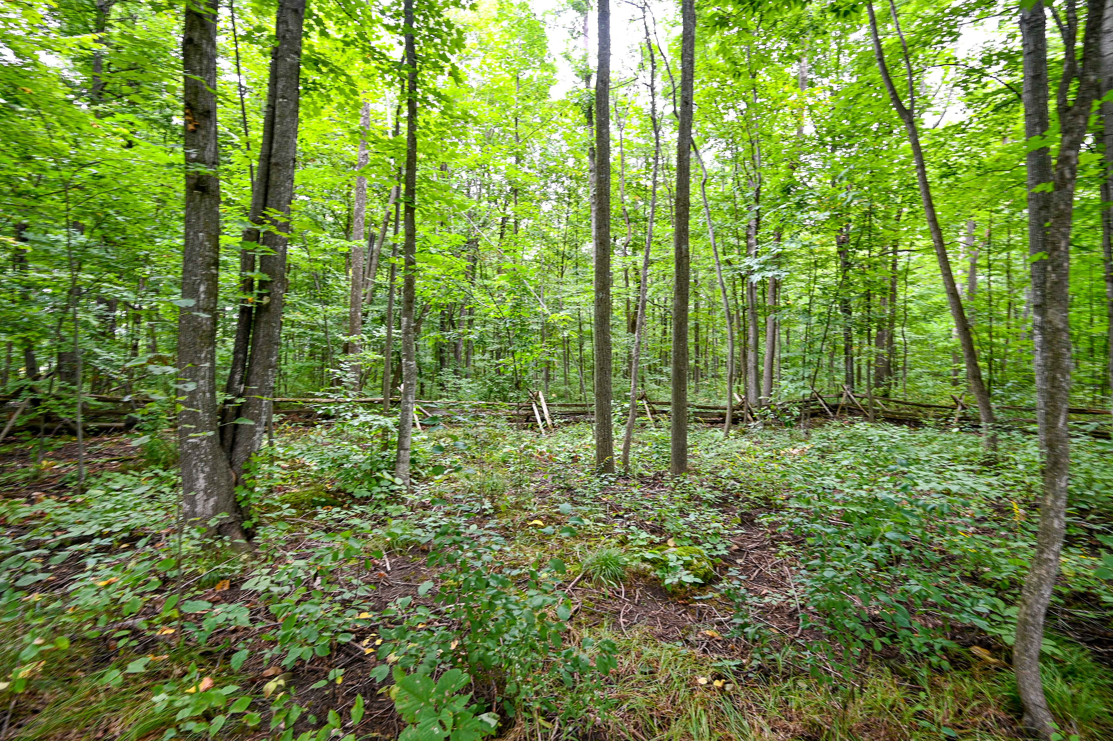 Images Leif Olson - Ottawa Real Estate Agent - Hamre Team RE/MAX Affiliates