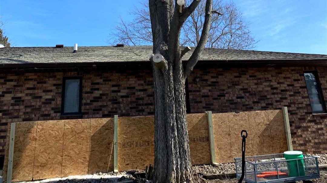 When you need professional tree services in your area, look no further than Dittmer Tree Service. As a locally owned and operated company, we pride ourselves on providing prompt and reliable tree care solutions to our community. Whether you need pruning, removal, or emergency services, our team is dedicated to delivering exceptional results right in your neighborhood.